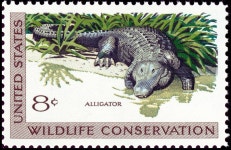 10x ALLIGATOR Florida Louisiana Wildlife Conservation 1971 8c Unused Postage Stamps Free Shipping 1 Source Best Prices on Vintage... 