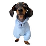 Follow Us at Chienfoudogfashion - Etsy