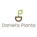 View Decor and Shelving by DanielsPlants on Etsy