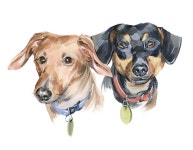 MULTI Pet Portrait Pet Memorial Watercolor Pet Portrait Personalized Pet Portrait Personalized Pet Lover Gift - Etsy