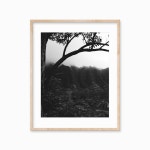 Hawaii Wall Art Hawaiian Decor Forest Photography Black and White Mountain Wall Art Serene Wall Art Tropical Landscape - Etsy