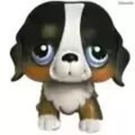 Littlest Pet Shop 145 Saint Bernard - Etsy
