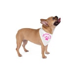 Fur-ever Loved Pet Bandana - Etsy