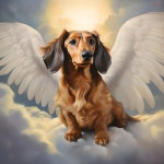 Custom Digital Pet Portrait From Photo, Personalized Dog Portrait, Pet Memorial Birthday Gift With Angels Wings, DIGITAL DOWNLOAD... 
