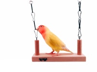 MY PET BIRD / Swing / W514 - Etsy