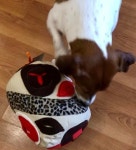 Snuff Ball Length 87 Inch22 см Diameter67 Inch 17 Cm | Etsy Snuff Ball  Length 87 Inch22 см Diameter67 Inch 17 Cm | Etsy