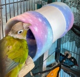 The Original SAFEST Largest Bird Cozy 4X8 Solid PVC Body - Etsy