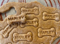 Personalized Dog Treat Cookie Cutter or Stamp - Etsy