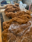 Raw Brown Alpaca Fiber - Etsy
