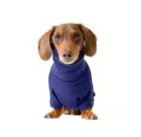 Dachshund Sweaters, Bamboo Fleece Pullover Turtleneck Sweater for Wiener Dogs - Etsy