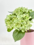 Green Real Touch Hydrangea Extremely Realistic Luxury Quality Artificial Flower Wedding/home Decoration Gifts Decor Floral H-021... 