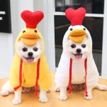 Pet Costume Dog Cat Halloween Costume Funny Pet Costumes - Etsy