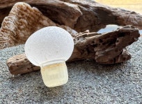 Genuine Sea Glas A1132 - Etsy