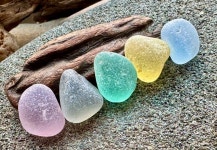 Genuine Sea Glas A1209 - Etsy