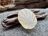 Genuine Sea Glass A1421 - Etsy