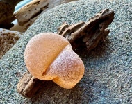 Genuine Sea Glas A1081 - Etsy