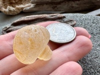 Genuine Sea Glass A1282 - Etsy