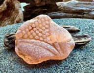 Genuine Sea Glas A1077 - Etsy