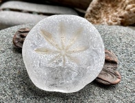 Genuine Sea Glass A0040 - Etsy