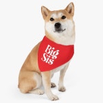 Big Sis Sister Funny Cute Pet Bandana Scarf Dogs Cats Ferrets - Etsy