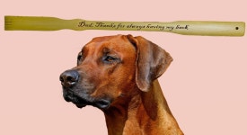 Custom Backscratcher, Personalized Back Scratcher, Birthday Gift, Fathers Day Gift, Backscratcher, Engraved Backscratcher - Etsy