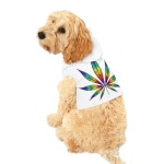 Colorful 420 Pot Leaf Dog or Cat Sweatshirt - Etsy