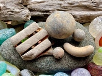 Sea Clay H7457 - Etsy