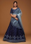 The Palace Lengha Choli - Etsy