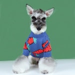 Carrot Dog Sweater Dog Clothes Pet Clothes Soft Handmade - Etsy