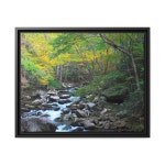 Wall Art Nature, Wall Art Framed, Wall Art Print 20 X 16 LARGE Framed Wall Art Nature Print, Nature Photography, Landscape... 