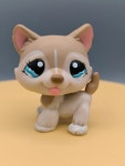 Littlest Pet Shop Husky #1012, Tan/beige/white Husky With Cyan Eyes, Authentic Pet Figurine, LPS Dog Collection, Collectors Gift... 