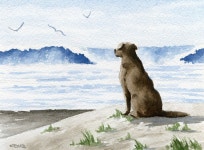 Chocolate Lab Art Print chocolate LAB at the Beach - Etsy