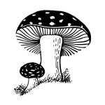 Mushrooms Cling Rubber Stamp~toadstool~wild Mushroom~polka Dots~speckeled Fly Aragic~gnome or Fairy House~unmounted Cling Stamp... 