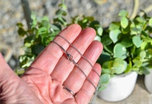 1 Stainless Steel 16 Snake Chain C1002 - Etsy