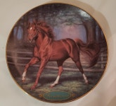 Secretariat Collector Plate G7507 - Etsy