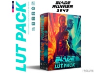 Blade Runner 2049 LUT Pack – Futuristic Cinematic Color Grading Filters for Sci-fi and Neo-noir Film Editing - Etsy