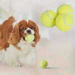 Tennis Ball-like Dog Chew Toy - Etsy