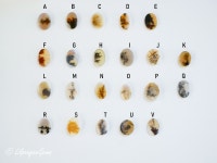 16-20mm Dendritic Agate Cabs. Natural Agate Cabs. Agate Dendrite Gems. L3 - Etsy