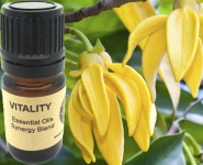 Vitality Essential Oils Synergy Blend. - Etsy