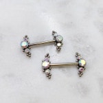 Pair of 14g 14mm Implant Grade Titanium Nipple Barbells - Etsy
