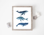Whale Wall Art Boy Nursery Wall Art Nautical Wall Decor Nautical Nursery Baby Nautical Nursery Whale Art Print Sea Animals H1785... 