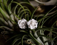 Crystal Rosebud Flowers Wedding Plugs,ear Gauges 8,10,12,14,16,18,20,22,24,26,28,30mm;0g,00g;5/16,3/8,1/2,9/16,5/8,3/4,7/8... 