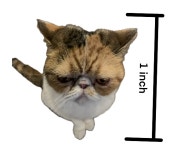 Tiny Cat Over Pichu Mod for Super Smash Bros. Ultimate | SSBU Mods