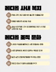 [주식회사레디올소프트] [레디올소프트] R&D 운영지원팀 채용건 - 사람인