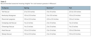 What Height Do You Cut Your Lawn In The Summer? (leaf, frost) - Garden -Trees, Grass, Lawn, Flowers, Irrigation, Landscaping...... 