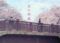 외방커뮤니티 > 외방재팬 > 영화 『너의 췌장을 먹고 싶어』 특보 영상