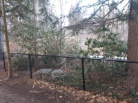 Spring 2022 Photo Thread (Northern Hemisphere) (rainfall, places, sunshine, summer) - Weather -Temperature, sun, sunlight, rain... 