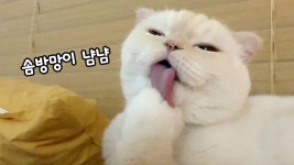 가생이닷컴>커뮤니티 > 잡담 게시판 > [속보] 문재인 대통령, 신도시 투기의혹 발본색원 지시 ~