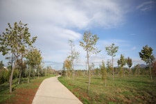  Parku i Liqenit Artificial të Tiranës | Tirana Grand Park - Page 37 - SkyscraperCity