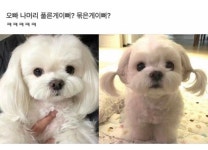 가생이닷컴>유머엽기 > 유머게시판 > 오빠 나 어떤게 더 이뻐 ~!?